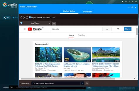 Top 5 Youtube Downloaders For Windows 10