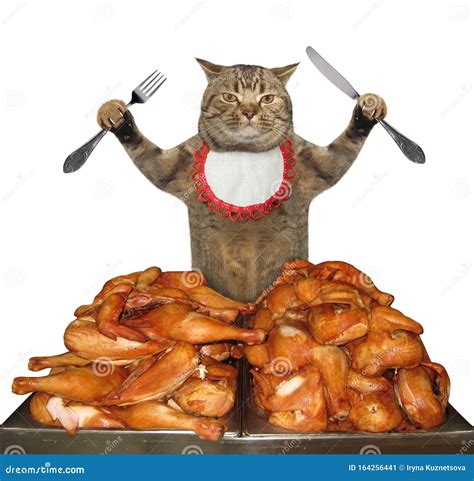 Cat Eats Grilled Chicken Legs Stock Image Image Of Funny Animal