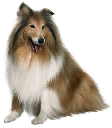 Collies Clipart 20 Free Cliparts Download Images On Clipground 2023