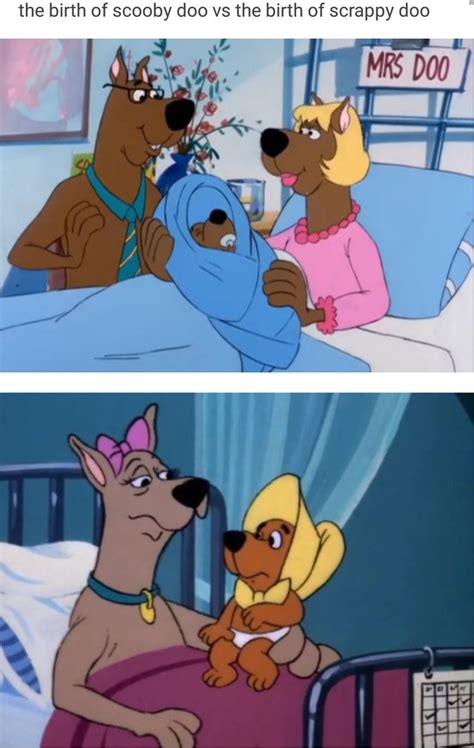 Welp This Explains A Lot Scooby Doo Scooby Doo Memes Scooby