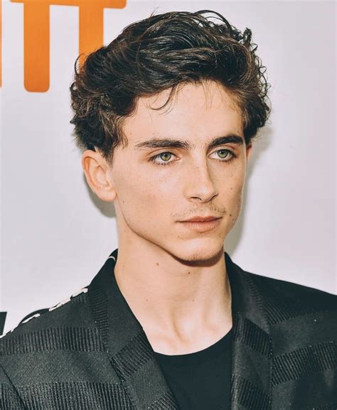 Timothée Chalamet At The 2018 Tiff Toronto International Film Festival