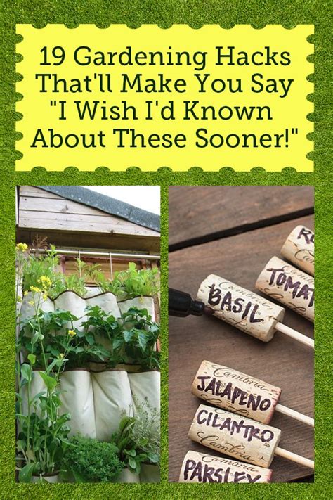 19 clever gardening hacks that ll make you say i wish i d known about these sooner garden