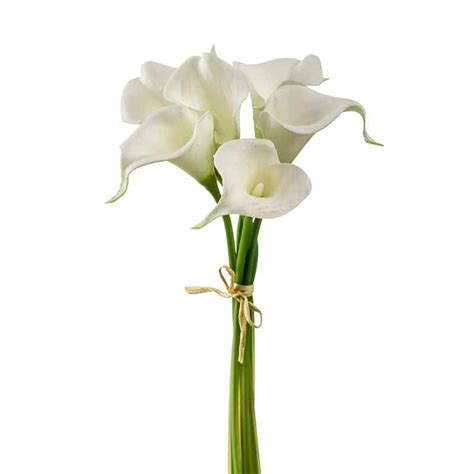 Artificial Calla Lily Bundle X Cm White Sherries Estates