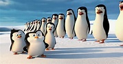 Pinguine aus Madagascar: Trailer zum neuen Kinofilm › Xonik