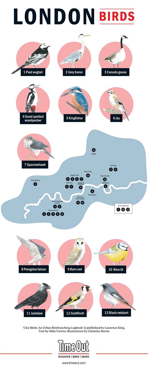 This Map Shows Londons Birds And Where To Spot Them London Birds Map