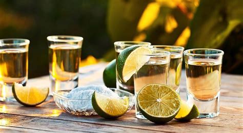 Top 10 Highest Quality Tequila Brands You Must Try Cooking Tips And