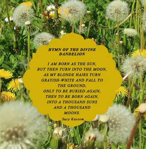 Dandelion Poems