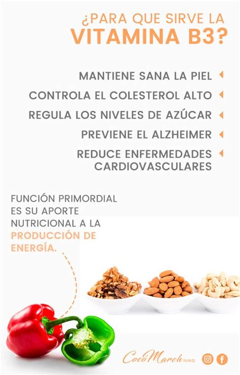 La niacina, también conocida como vitamina b3, es el nombre más común para el ácido nicotínico. ¿Para Qué Sirve la Vitamina B3 o Niacina? | Coco March