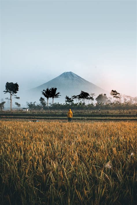 Kumpulan foto mentahan quotes, majalengka, majalengka. Foto Mentahan Quotes : Wrench Clipart Hardware Tool Quotes ...