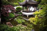 Lan Su Chinese Garden, Portland, Oregon | Tea First