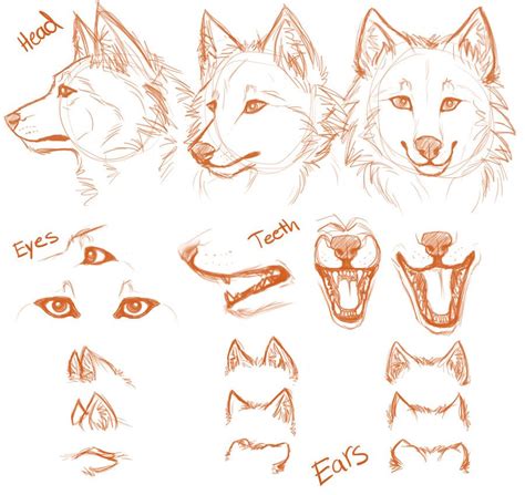How To Draw A Wolf Anthro Face Swearengin Wervas