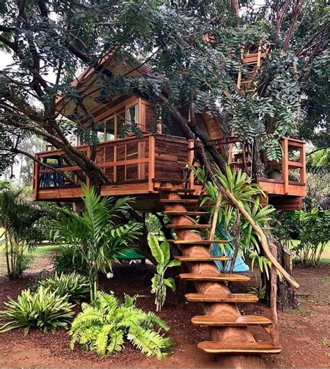 Pin By Erica Dawn On Island House Ideas Beautiful Tree Houses Cool