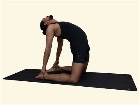 Camel pose is considered a base pose as camel pose variations can be derived from this pose. 11 Yoga Asanas to Correct Your Posture | PranaYoga