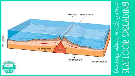 Difference Between Seafloor Spreading And Plate Tectonics Floor Roma