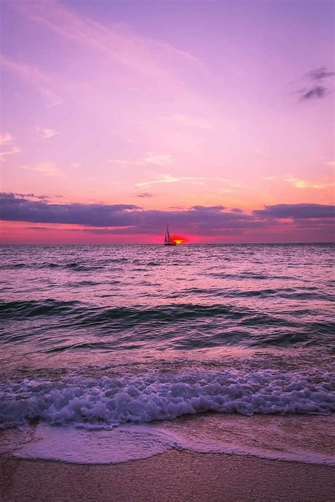 Venice Fl Sunset Beach Florida Gulf Ocean Purple Sailboat
