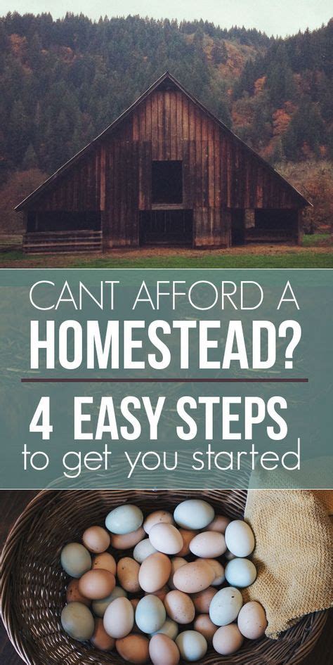 How To Start A Homestead When You Cant Afford One Homesteading