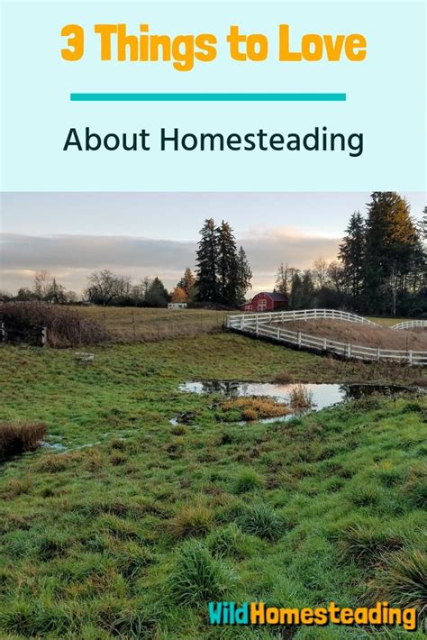 3 Things To Love About Cultivating Abundance Homesteading Modern