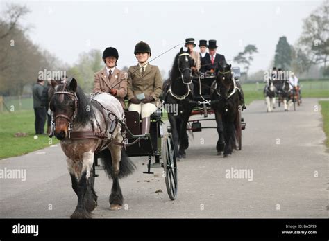 Horses Pulling Carriages At The London Harness Horse Parade Stock Photo