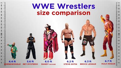 Wwe Wrestlers Size Comparison Youtube