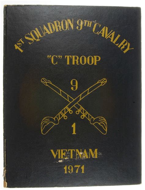 Vietnam Helicopter Insignia And Artifacts C Troop 1st