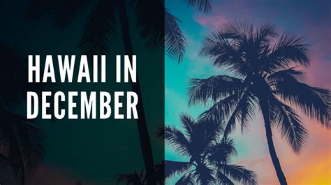 Is It Wise To Visit Hawaii In December Collections Of Waikīkī