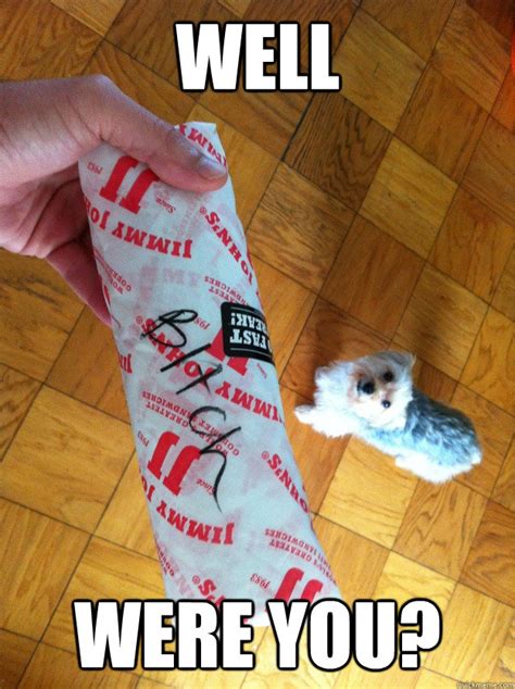 Well Were You Jimmy Johns Judgment Dog Quickmeme