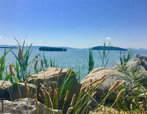 Some Grass And Rocks By The Water On A Sunny Day