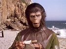 Archives Of The Apes: Planet Of The Apes (1968): Zira And Cornelius