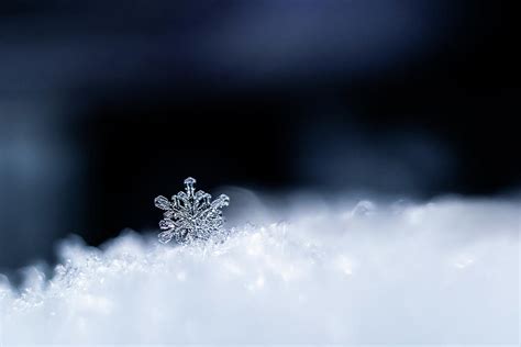 Snowflakes Close Up Macro Photo The Concept Of Winter Photograph By