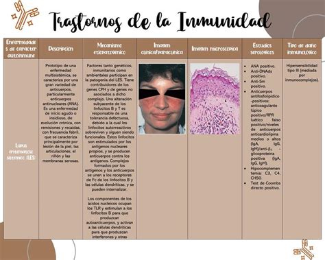Enfermedades Autoinmunes Tabla Nelly Notes Med UDocz