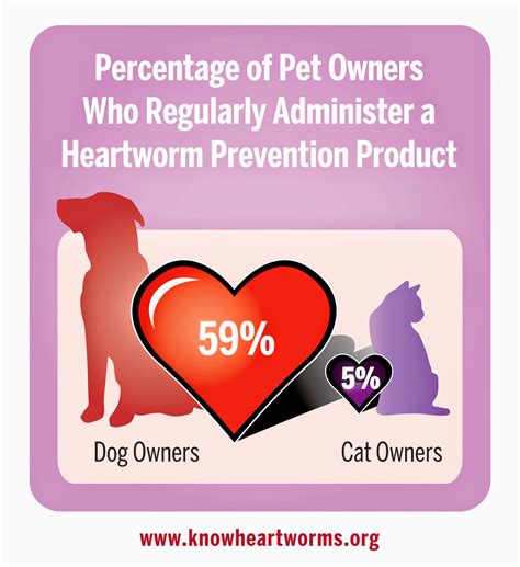 Luckily, there are several medications for cat heartworm prevention. Exclusively Cats Veterinary Hospital Blog: Heartworm ...