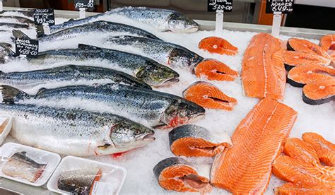 The average salmon price is one thing, but there is also a difference between weights, as illustrated next. Salmon Fish Buy Salmon fish for best price at 0 ( Approx ...
