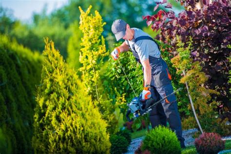5 Reasons To Hire A Professional Landscape Designer 2023 Guide