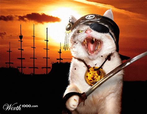 Bad Ass Images Of Animals Dressed As Pirates A Schooner Of Science