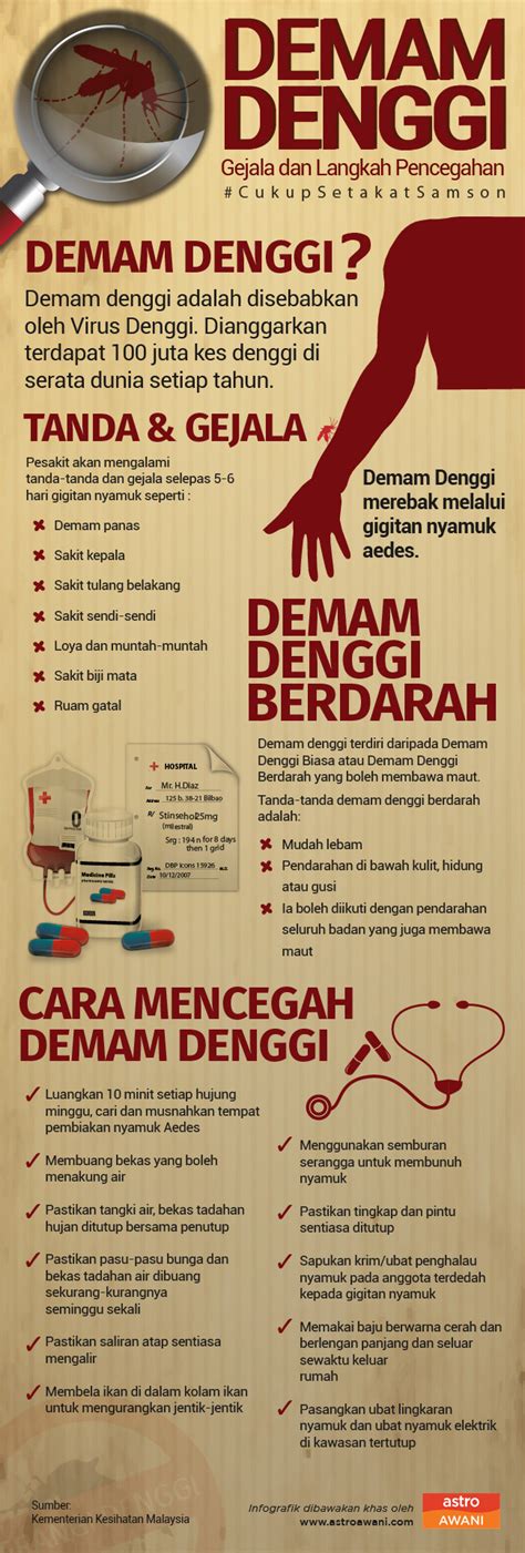 Demam denggi dan cara pencegahannya. Infografik Gejala & Langkah Pencegahan Demam Denggi ...