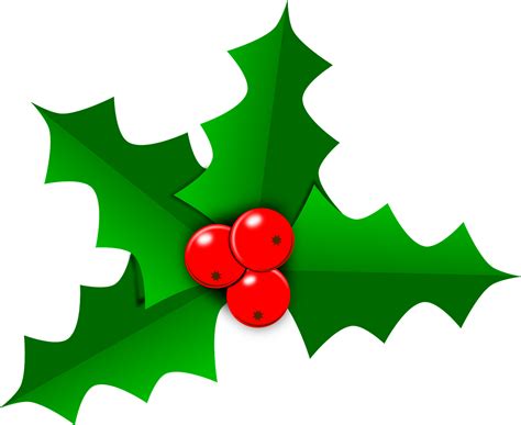 Holly Christmas Leaf - Free vector graphic on Pixabay png image
