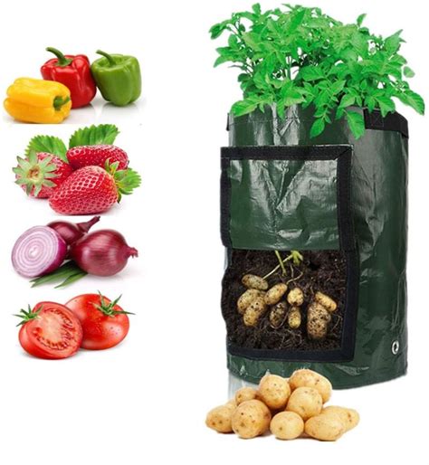 Vegetable Grow Bags Amazing Garden