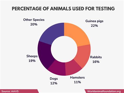 Animal Testing Statistics Eye Opening Facts You Must Know