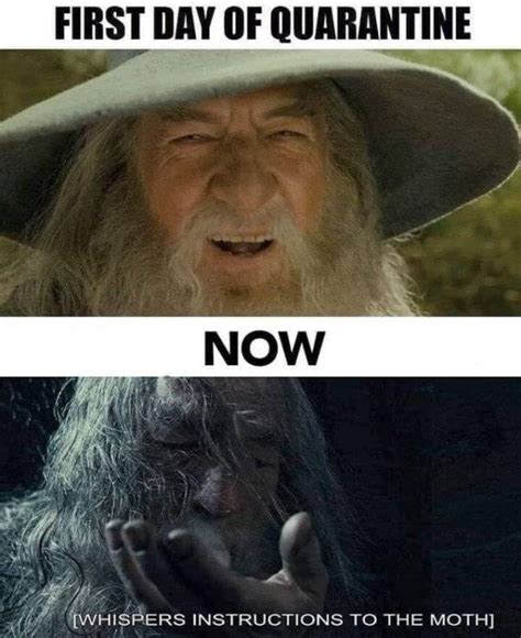 The best memes from lorde's solar power. 30 Hilarious "Lord Of The Rings" Memes - Barnorama
