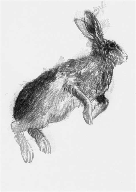 Hare Leap Artist Sean Briggs Producing A Sketch A Day Prints