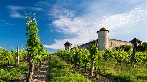 A French Vineyard Perfect For Drowning Brexit Sorrows Places To Go