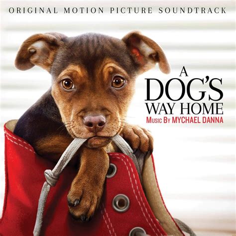 The way home a.k.a jibeuro/jiburo (2002). 'A Dog's Way Home' Soundtrack Details | Film Music Reporter