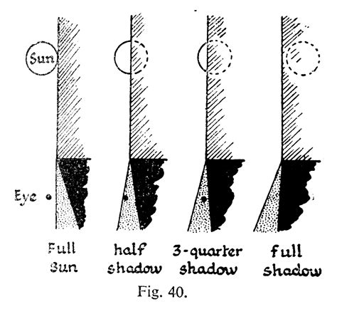 9 Fun Photic Facts From A 70 Year Old Book Neil Oseman