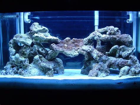 35 awesome aquascaping ideas you will totally love home. Heliflyer's image landscape inspiration pre-sealife. Live ...