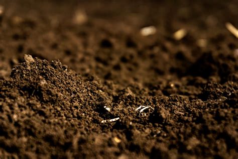 Soils Processes Need To Be Understood To Build Organic Matter Organicbiz