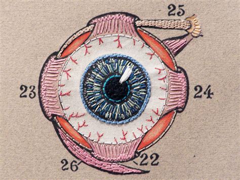 Embroider friendly eyes on a stuffed animal. Eye Anatomy. Paper Embroidery by Fabulous Cat Papers | FabulousCatPapers