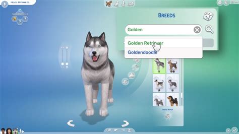 The Sims 4 Cats And Dogs Kid Is Waking Up Tergor