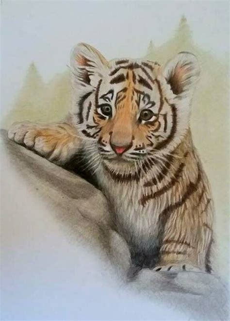 Artstation Cute Tiger Cub