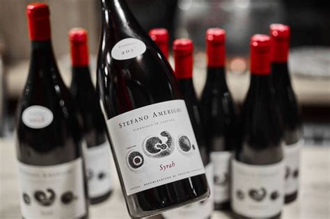 In italian, the stress falls usually on the first syllable, ˈsteːfano (an exception is the apulian surname stefano, steˈfaːno); Vini. Il Syrah biodinamico di Stefano Amerighi che ha i ...