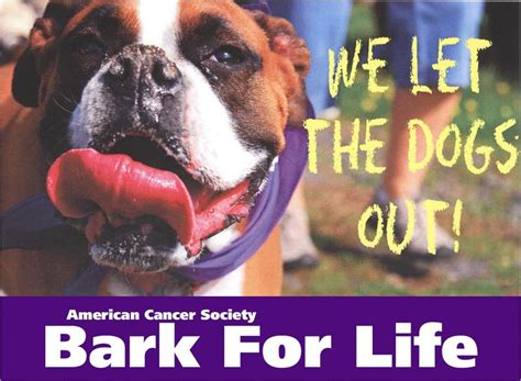 Relay for life los angeles central coast area. 17 Best images about Relay for Life on Pinterest | Purple ...